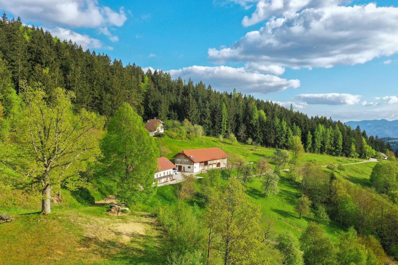 Villa Richterberg With Sauna & Hot Tub Slovenj Gradec Exterior foto